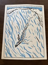Raymond Pettibon SURFERS 1985-2015 Book