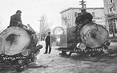 Horse Sleds Pulling Logs Lumberjacks Shelby Michigan MI - REPRINT