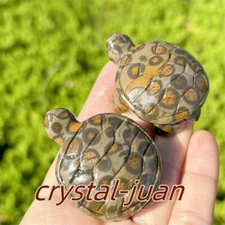 2" Natural Leopard stone Turtle Carving Quartz Crystal Skull Reiki Heal 1pc