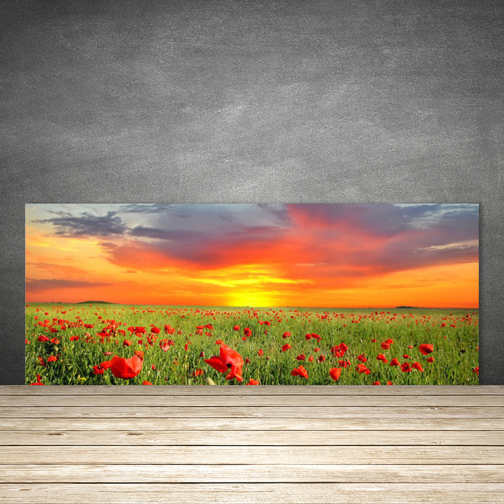 Crédence en verre 125x50 lavable et résistante aux projections coquelicots