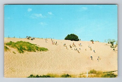 Cape Cod MA-Massachusetts, Dunes, Scenic Exterior, Vintage Postcard