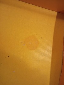 LEGO 6090 Royal Knights Castle Box, Base & Instructions (Vintage 90s!)