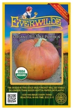 15 Organic Big Max Pumpkin Seeds - Everwilde Farms Mylar Seed Packet