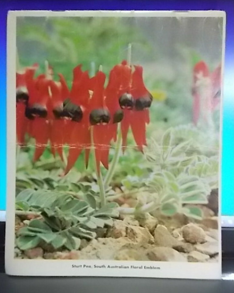 Picture 3 of 12