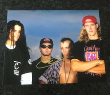 * PAUL D'AMOUR * signed autographed 11x14 photo * TOOL * BASSIST * COA * 4