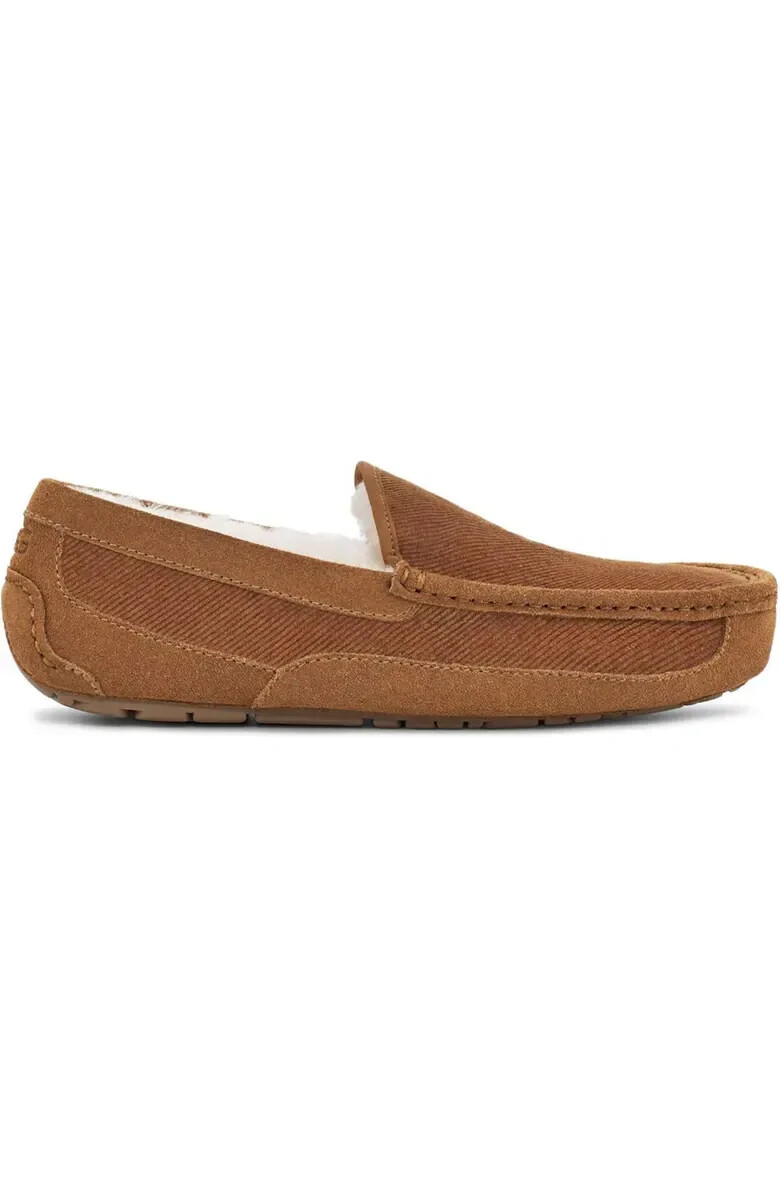 Ugg Chestnut Suede Ascot Corduroy II Slip On Slippers for Men UGG Men main image 3