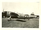 Org. Photo: 371st Fighter Group P-47 Fighter Plane (42-29146) on Airfield (#1)!