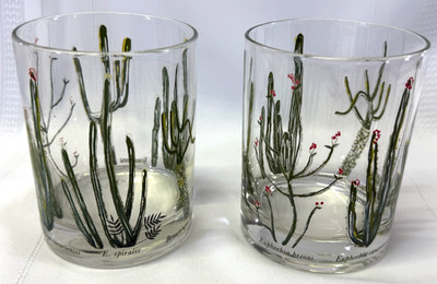 Set of 2 Vintage Neiman Marcus Desert Cactus Old Fashioned Drinking Glasses