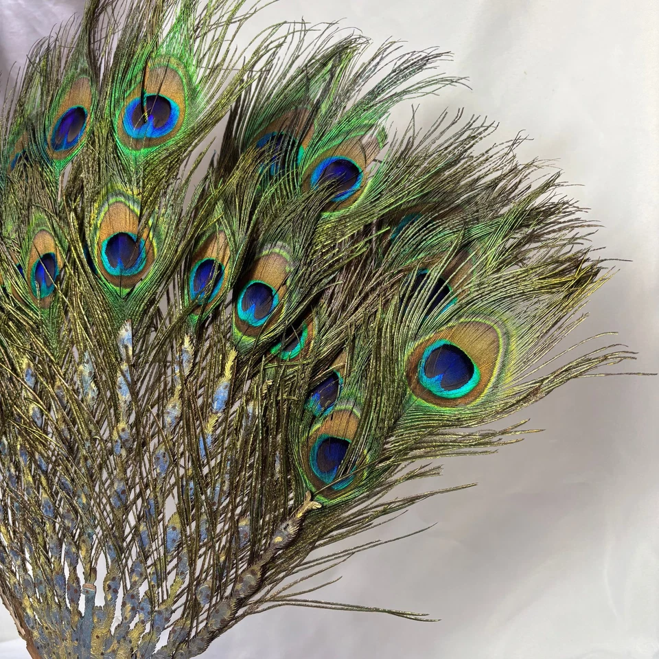 1900's Peacock Tail Feather Fan Carved & Painted Wood Sticks Made In India - Image 2 of 4