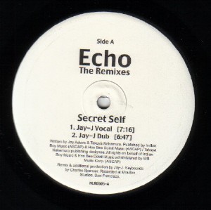 Echo (3) - The Remixes, 12'', (Vinyl)