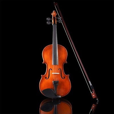 Aileen Violin Beginner, 3/4 Violine Set mit Bogen und blauem Etui, Geige im