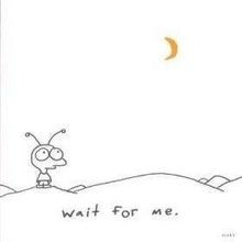 Wait for Me von Moby | CD | Zustand sehr gut