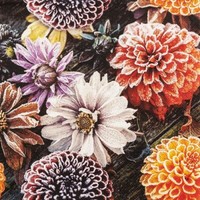 20 Servietten Frosted Dahlia Gefroren Dahlien Blumen Garten Orange Rosé 33X33Cm