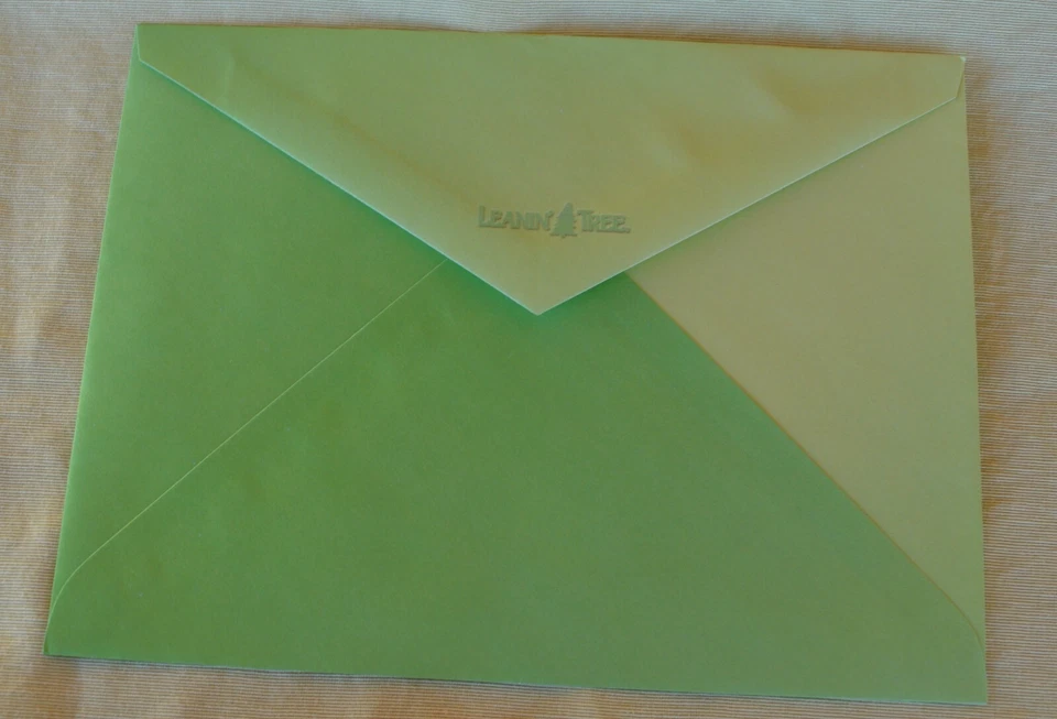 Leanin' Tree Thank You Note Card w Envelope Southwest Red & Green Chili Peppers - Image 4 of 4