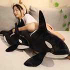 Foto 15 di 25