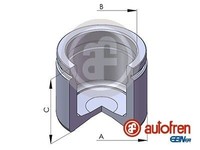 Autofren Seinsa Kolben, Bremssattel D025112 FüR Alfa Romeo Bmw Mg Peugeot Rover