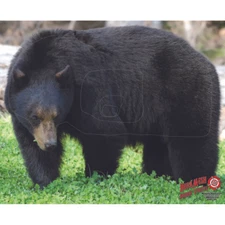 DuraMesh Archery Target Black Bear