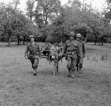WW2 WWII Photo World War Two / US Army Soldiers in Action Normandy July 1944