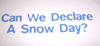 CAN WE DECLARE A SNOW DAY? T-SHIRT - L