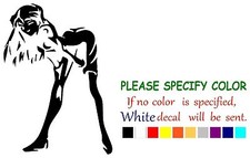 Asuka Langley Sohryu Evangelion Graphic Die Cut decal sticker Car Truck Boat 22"