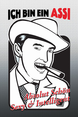 Blechschild 20x30 Absolut schön sexy + intelligent also ein ASSI lustiger Spruch