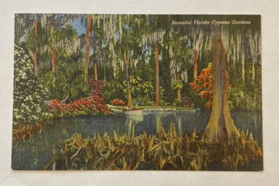 #ad Vtg Linen Postcard Unposted Boat in Water at Beautiful Florida Cypress Gardens $6.99