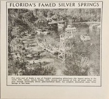 1948 Print Ad Florida's Famed Silver Springs Five Miles East of Ocala