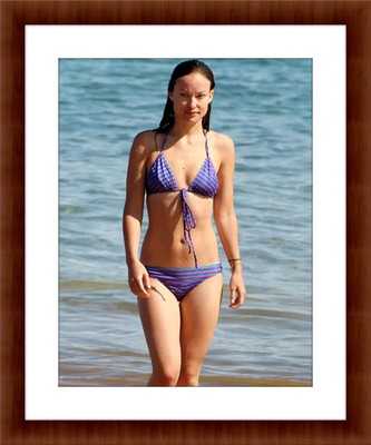 Olivia Wilde 8.5 x 11 Candid Color Unframed Collectable Photograph
