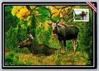 Canada 2012 Wildlife $1.80 Elk FDC Maxi Card w/Pictorial Cancel
