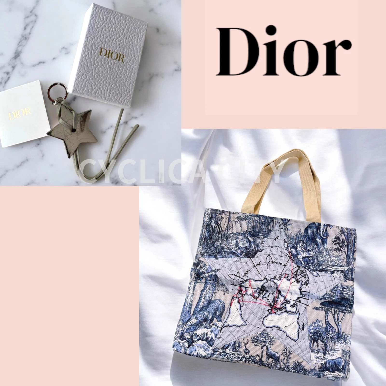 Sac fourre tout Christian Dior 2024 cadeaux pour membres platine et porte clés étoile