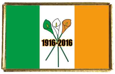 Goldfarbenes Abzeichen Ostern Aufstieg Irland mit Samtbeutel