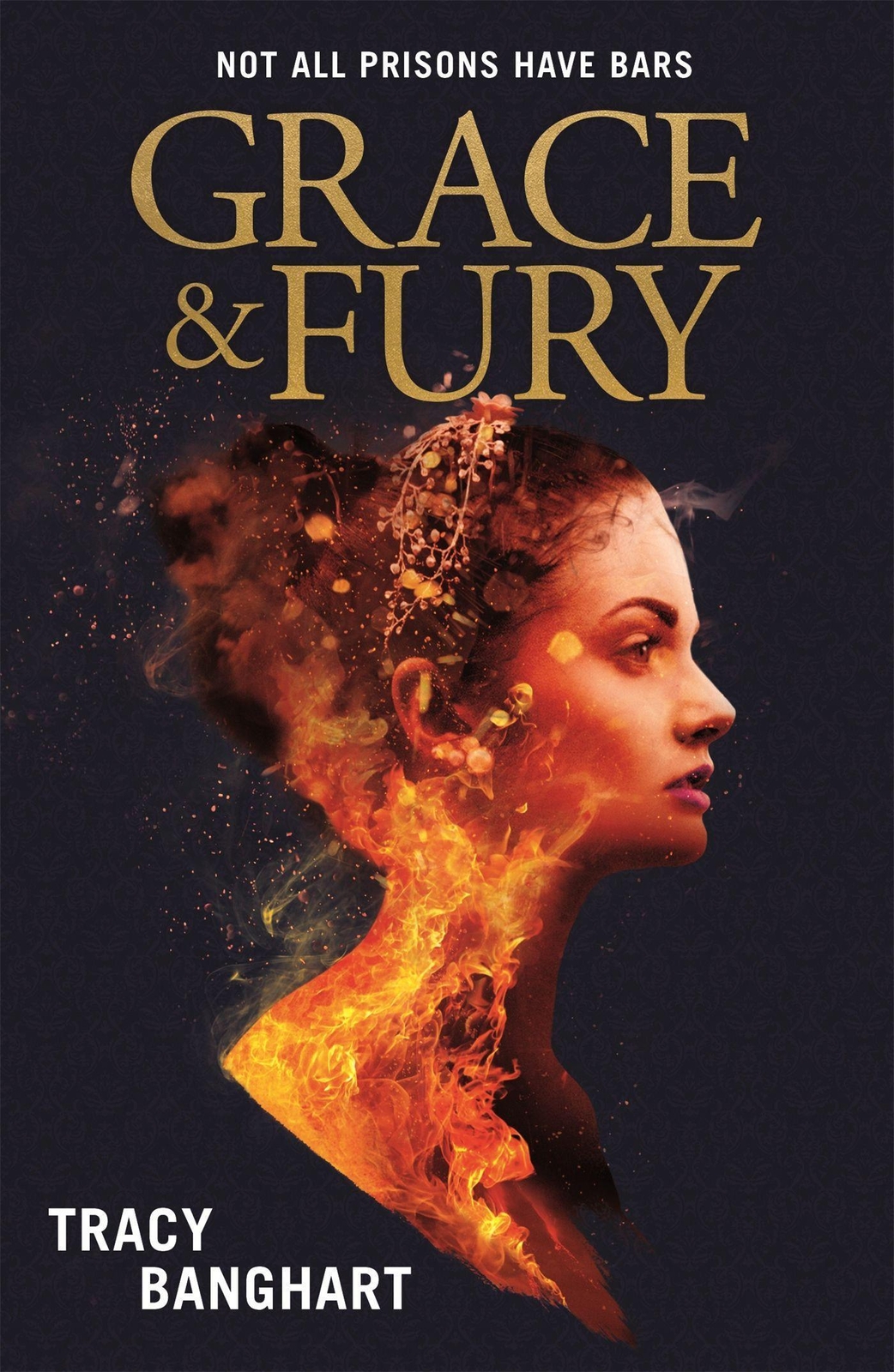 Thumbnail - Grace And Fury Tracy Banghart