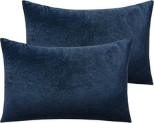2 Pack Zippered Velvet Queen Pillowcases, Super Soft and Cozy Luxury Fuzzy Flann