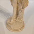 Picture 9 of 23