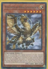 Yugioh Thunder Dragonhawk Rare MZTM