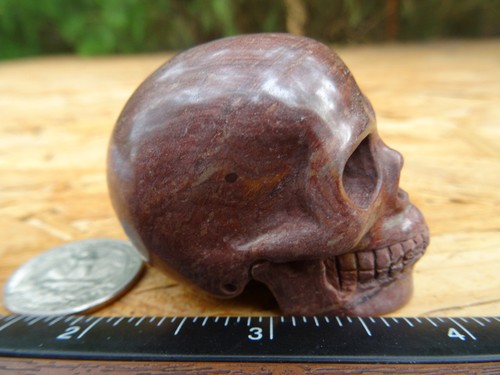 2.03" Brown Jasper Stone Skull Hand Carved Realistic 3.1oz 89.0g Crystal Healing - Picture 4 of 12
