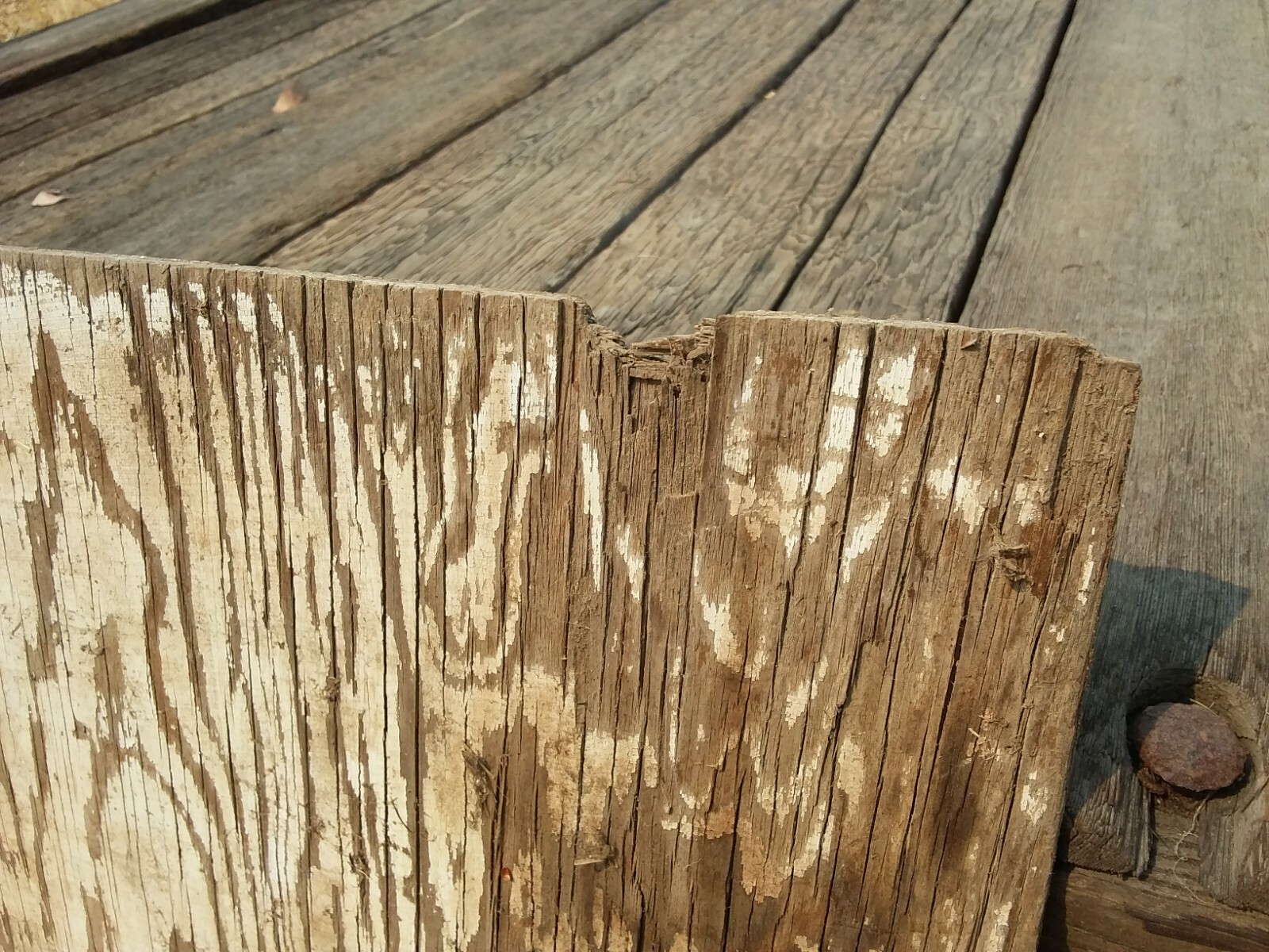 Picture 5 of 6