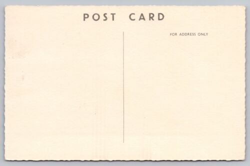 1950s T.S. Bretagne Ocean Liner, Europe Australia Line, Steamship UNP Postcard - Picture 2 of 4