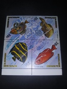 Burundi       C211         block      Fish