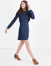 Madewell Denim Ruffle Dress Size 4 Indigo Blue Denim Stretch