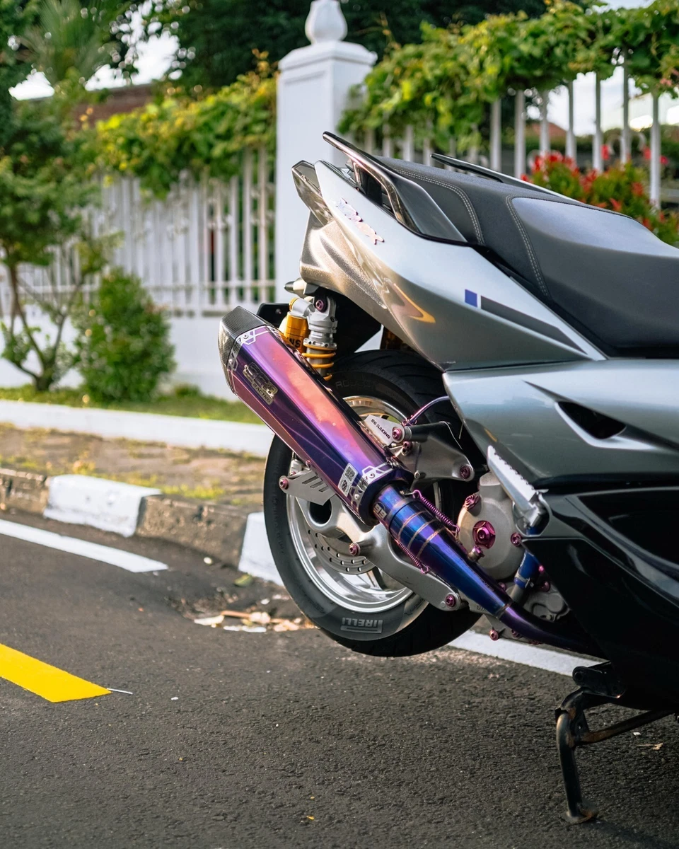 Stainless Steel Purple Motorcycle Silencers, Mufflers and Baffles