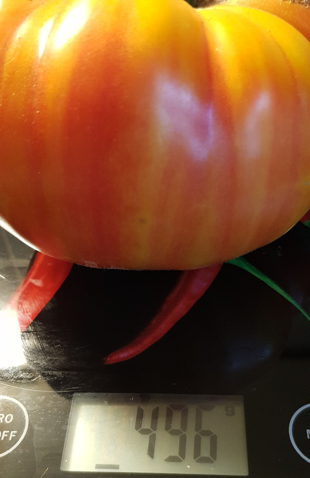 Bio-Tomatensamen 'Artisan Pink Tiger' – Ca. 15 Samen, Ertragreiche Cherrytomate Mit Pink-gelb-grüner Streifung, Süß & Fruchtig