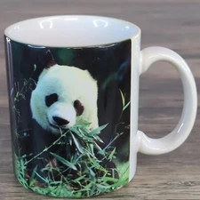 Vtg 1994 NWF Giant Panda Coffee Mug National Wildlife Federation Cup Express