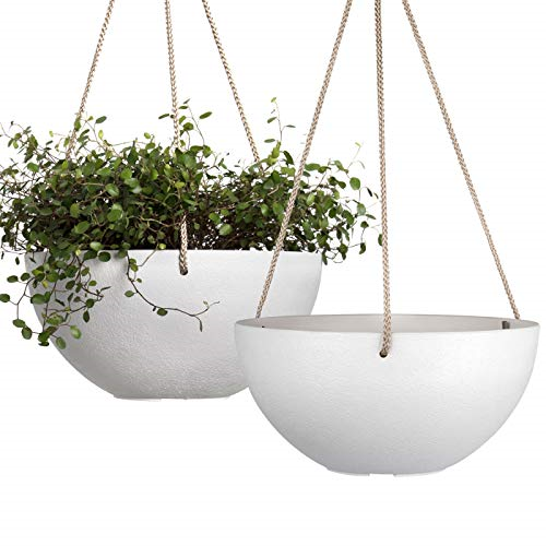 Featured image of post Outdoor Hanging Plant Png