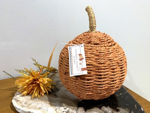 Target Bullseyes Playground PUMPKIN Basket Halloween Canister Fall 2023 NEW - Picture 2 of 2