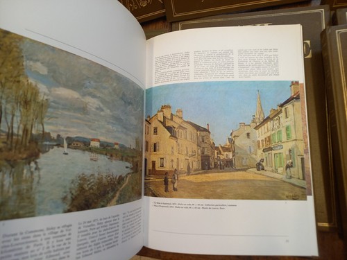 Les impressionnistes Daniel Wildenstein 12 volumes - Foto 4 di 5