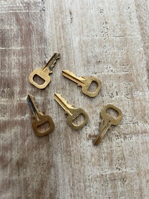 Louis Vuitton Padlock Key Replacement LV Lock Keys Accessories Authentic