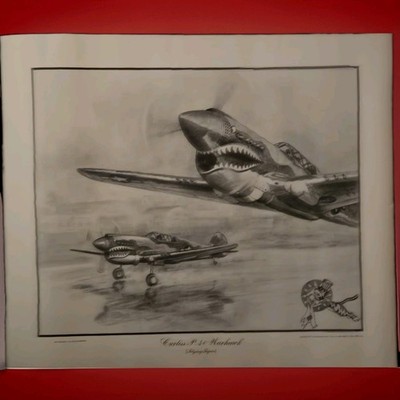 Curtiss P-40 Warhawk Flying Tigers Art Print Ken Fox 1975 Ultra Rare Great Cond