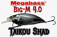 Super-Rare Limited Edition Megabass Big-M 4.0 Giant Killer - TAIKOU SHAD (Sp-C)