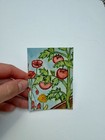 Original ACEO Watercolor Series Vegetable Garden Poppy PaletteandPage Tomatoes — photo 2